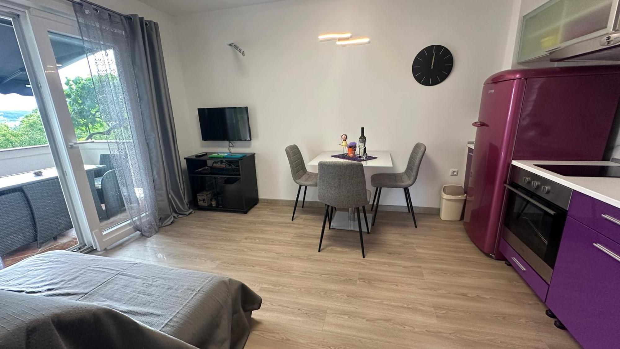 Apartment Anica *