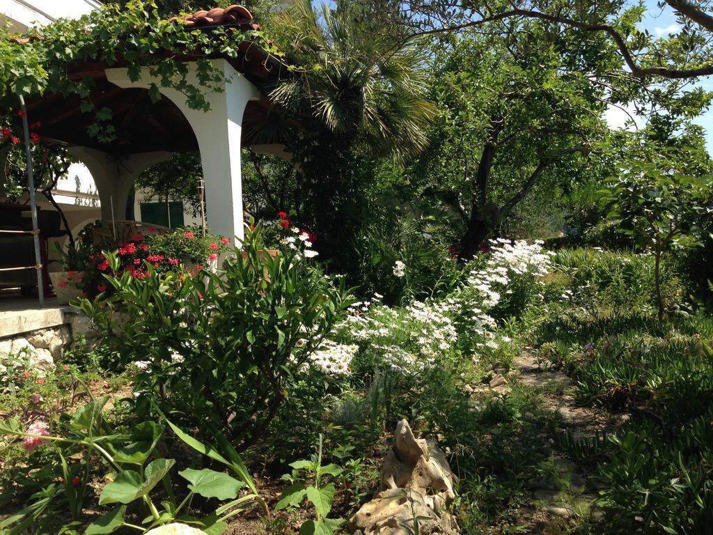Apartment Anica Supetarska Draga