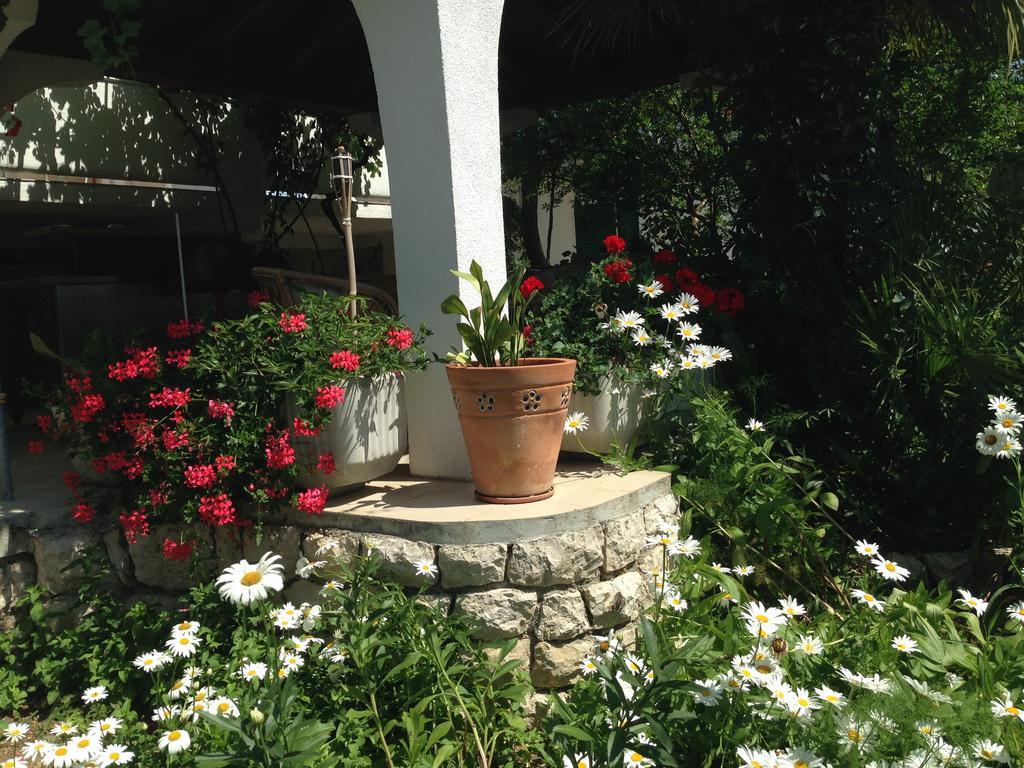 Apartment Anica